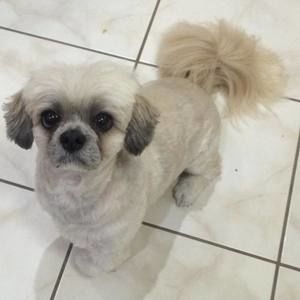 Meet your Posher, Debi